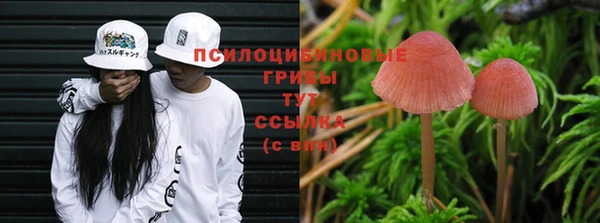 мдма Заволжск