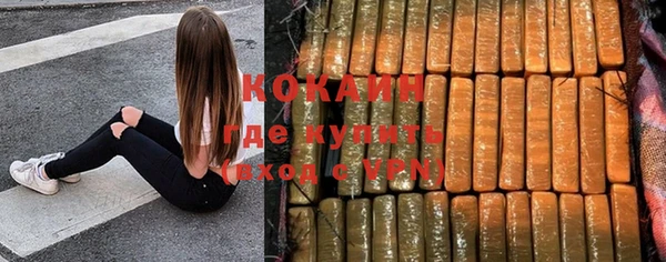 альфа пвп Заводоуковск