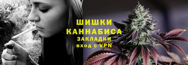 альфа пвп Заводоуковск
