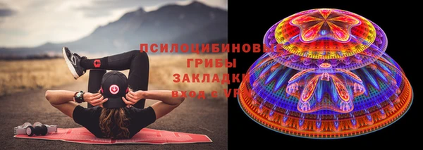 альфа пвп Заводоуковск